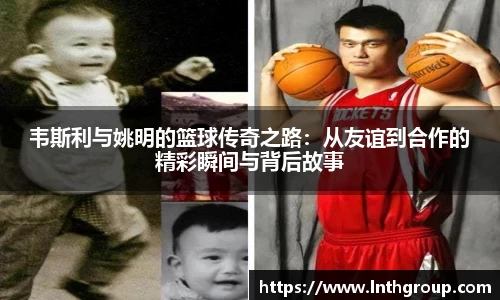 乐天使体育官网